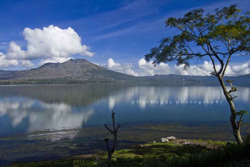 a peaceful life wishing you.jpg